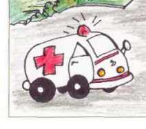 Cruise Kids 911 Gear